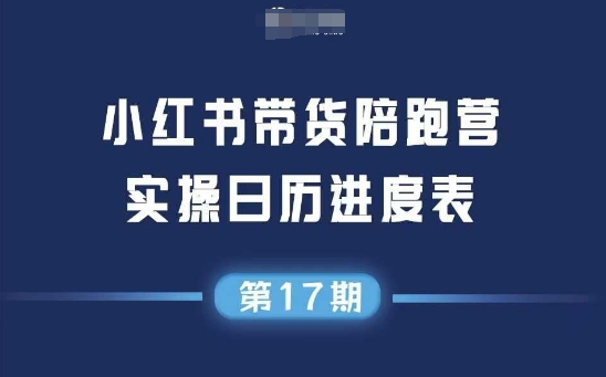 小红书第17期带货陪跑营，不囤货，无不直播，无不投流，通过选品+笔记内容+测品+笔记铺量+矩阵运营打爆款(更新)-破局灯塔
