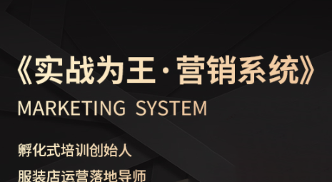 老杨·服装老板必修课《实战为王-营销系统》实现业绩被动式增长-破局灯塔