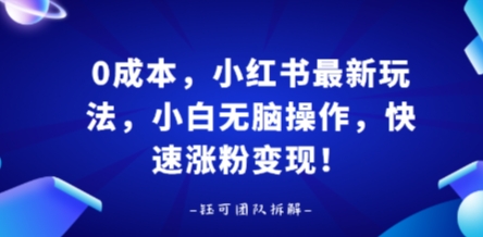0成本，小红书最新玩法，小白无脑操作，快速涨粉变现-破局灯塔