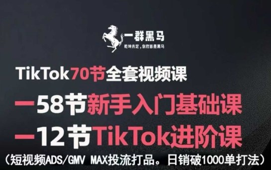 TikTok全套视频课，新手入门+进阶课，短视频ADS-GMV MAX投流打品，日销破1000单打法-破局灯塔