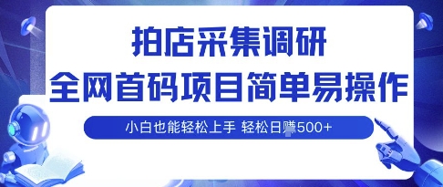 拍店采集调研，全网首码项目，简单易操作， 小白也能轻松上手，多账号操作，轻松日入5张【揭秘】-破局灯塔