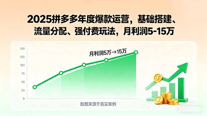 2025拼多多年度爆款运营，基础搭建、流量分配、强付费玩法，月利润5-15万-破局灯塔
