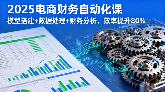 2025电商财务自动化课，模型搭建+数据处理+财务分析，效率提升80%-破局灯塔