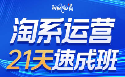 白凤电商·淘系运营21天速成班(更新9月)-破局灯塔