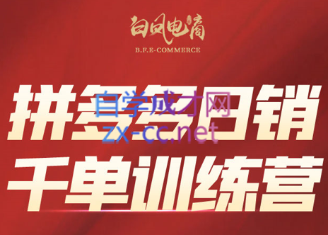 白凤电商·拼多多日销千单训练营(更新9月)-破局灯塔