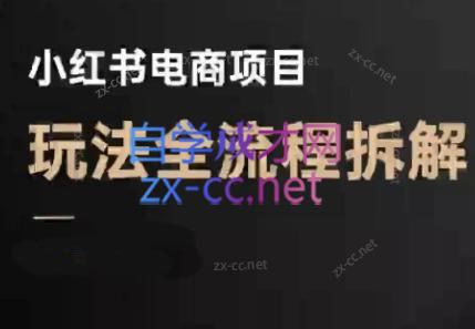 菲菲老师·小红书电商玩法(更新9月)-破局灯塔
