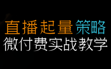 半野老师·直播带货起量与微付费必学课视频号-破局灯塔