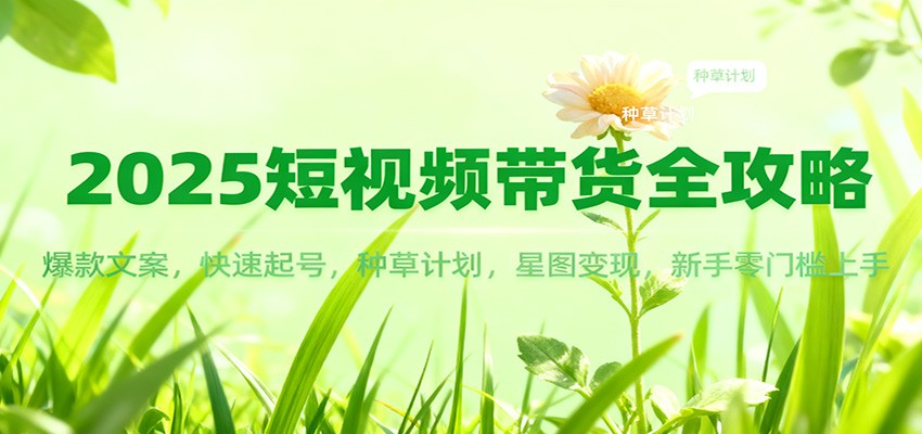 2025短视频带货全攻略：爆款文案，快速起号，种草计划，星图变现，新手零门槛上手-破局灯塔