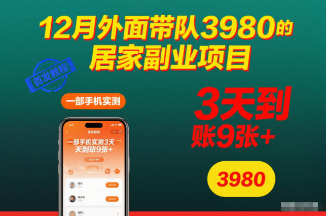 12月外面带队3980的居家副业项目，一部手机实测3天到账9张+，首发教程【揭秘】-破局灯塔