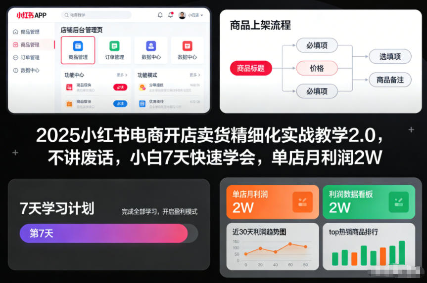 2025小红书电商开店卖货精细化实战教学2.0，不讲废话，小白7天快速学会，单店月利润2W-破局灯塔