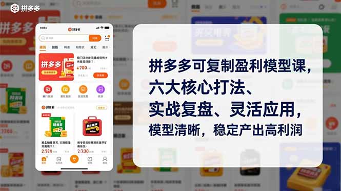 拼多多可复制盈利模型课，六大核心打法、实战复盘、灵活应用，模型清晰，稳定产出高利润-破局灯塔
