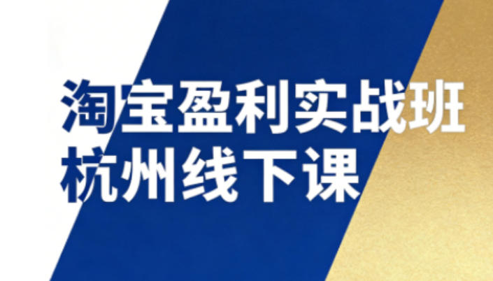 淘宝盈利实战班杭州线下课12月26-28日(音频+字幕)，帮你掌握SOP流程+12门核心技术-破局灯塔
