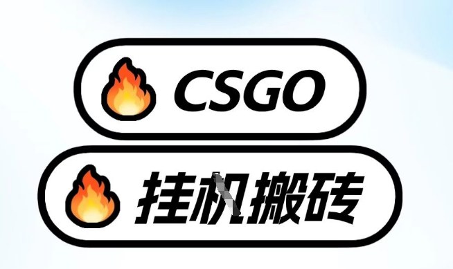 真全网独家CSGO挂G，最新玩法,单日捡漏1K+，不用电脑，不用打游戏【揭秘】-破局灯塔