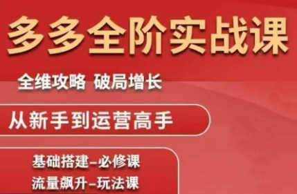 大炮·拼多多全阶实战课程(更新2026)-破局灯塔