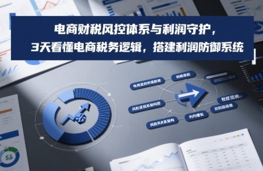 电商财税风控体系与利润守护，3天看懂电商税务逻辑，搭建利润防御系统-破局灯塔