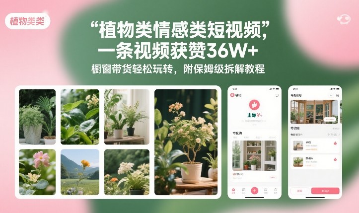 植物类情感类短视频，一条视频获赞36W+，橱窗带货轻松玩转，附保姆级拆解教程-破局灯塔