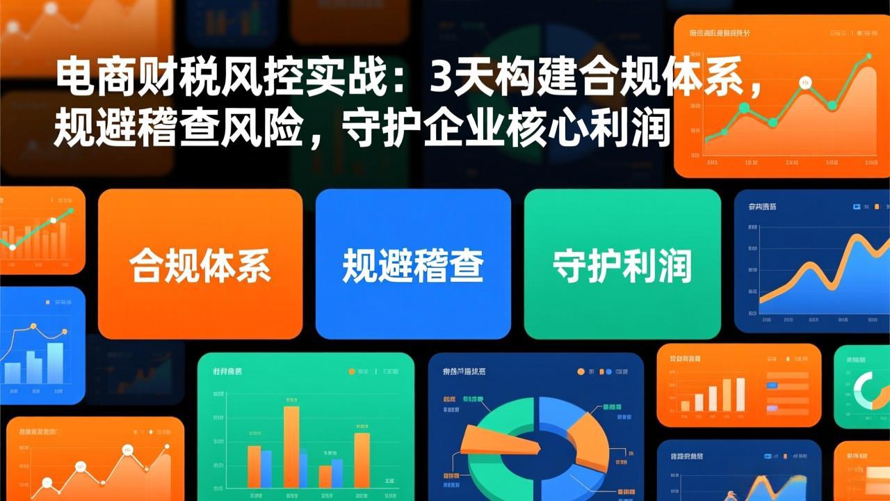 电商财税风控实战:3天构建合规体系,规避稽查风险,守护企业核心利润-破局灯塔